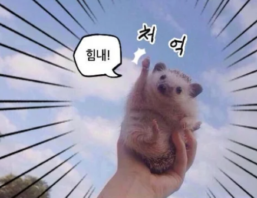 매일,매월 이미지