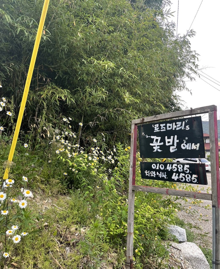로즈마리의 꽃밭에서 이미지
