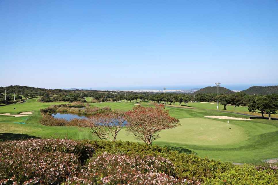 제주돠 이미지