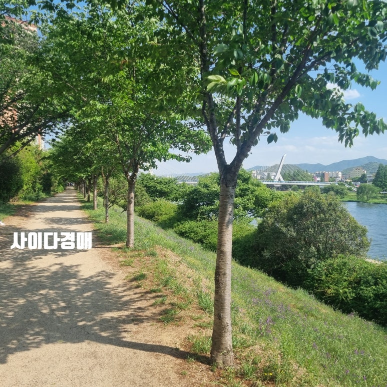 동촌해물칼국수 이미지