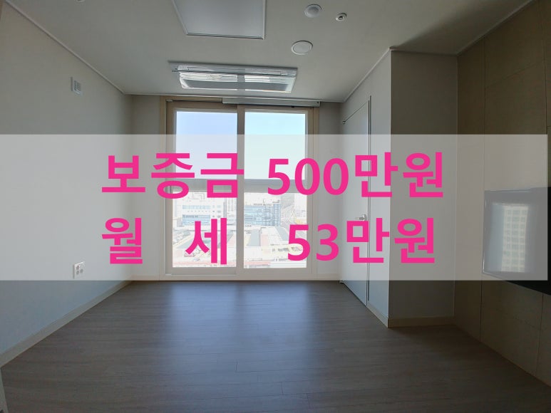 주식회사 라온베이 이미지