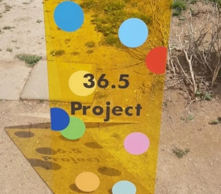 프로젝트36.5 이미지
