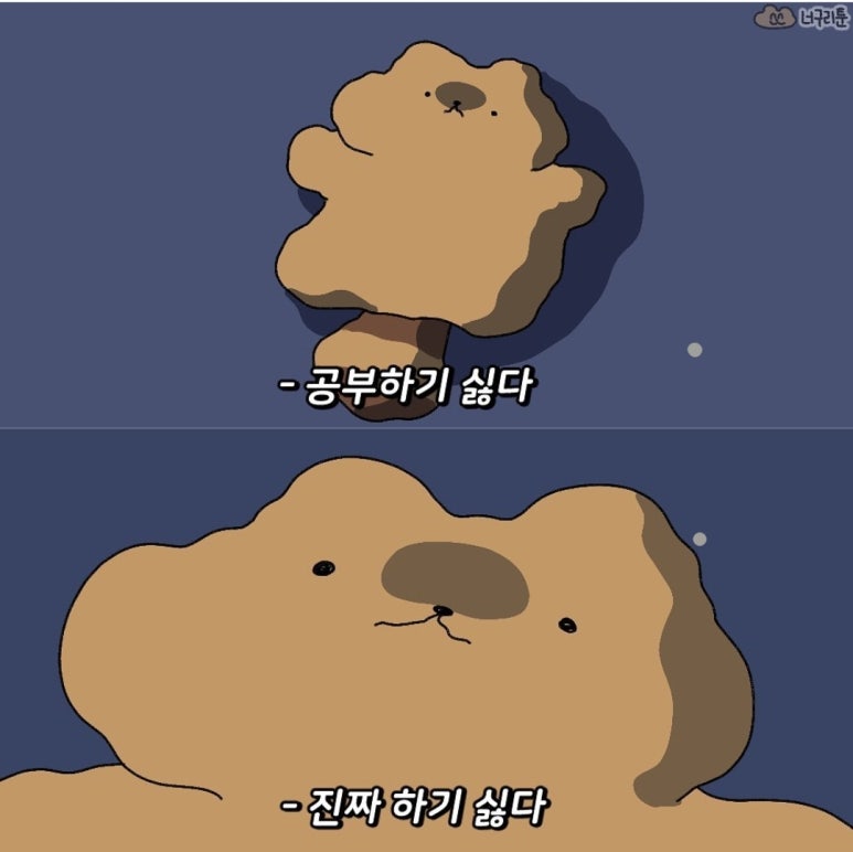 블루샥거제장평점 이미지