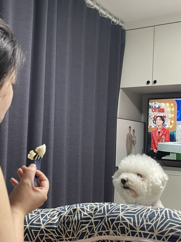 마시go취하go 이미지
