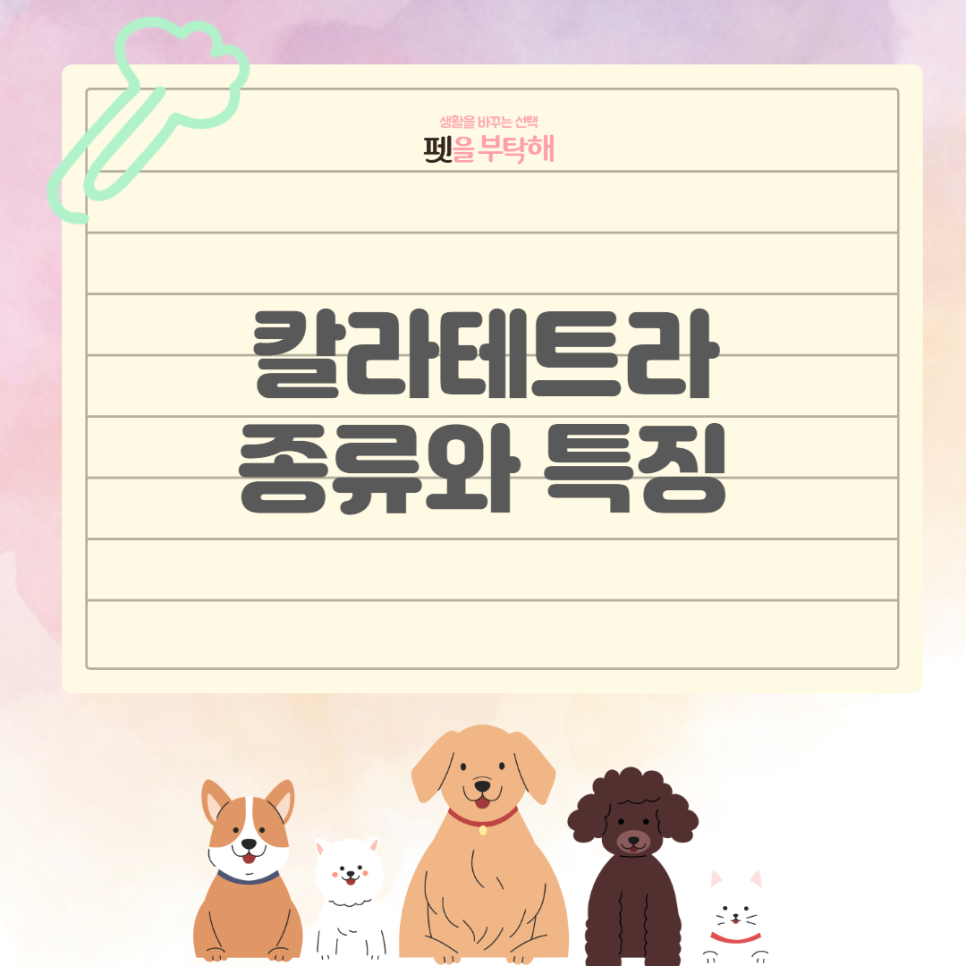 중앙꽃수족관 이미지