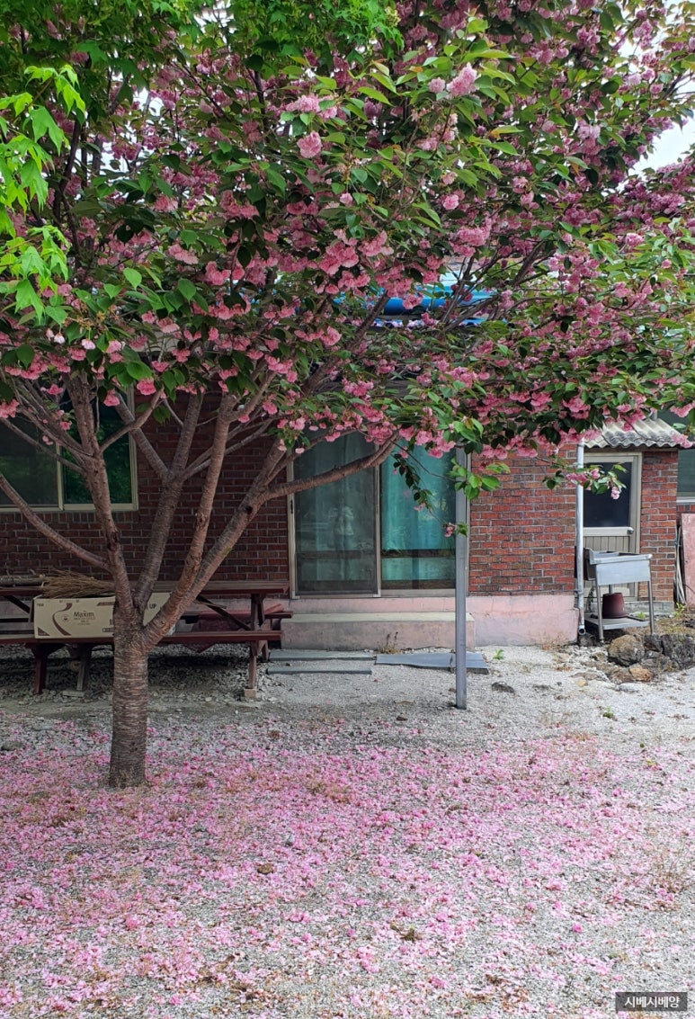 지리산소윤정펜션 이미지