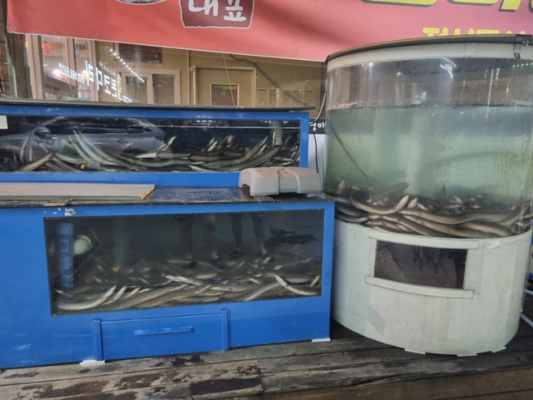 국가대표민물장어무한리필 이미지