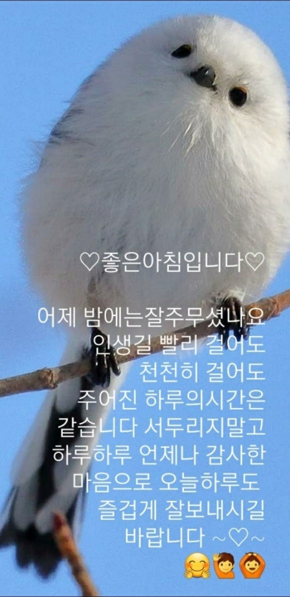 바다뮤직 이미지