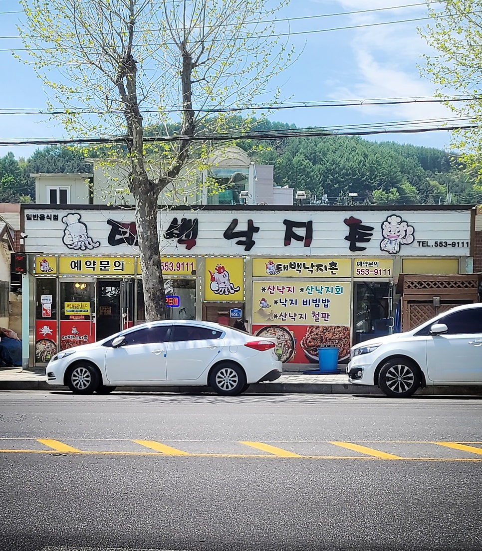 태백낙지촌 이미지