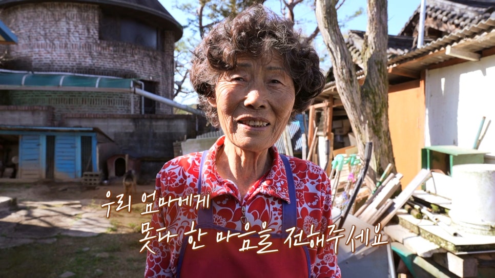 마이맘 이미지