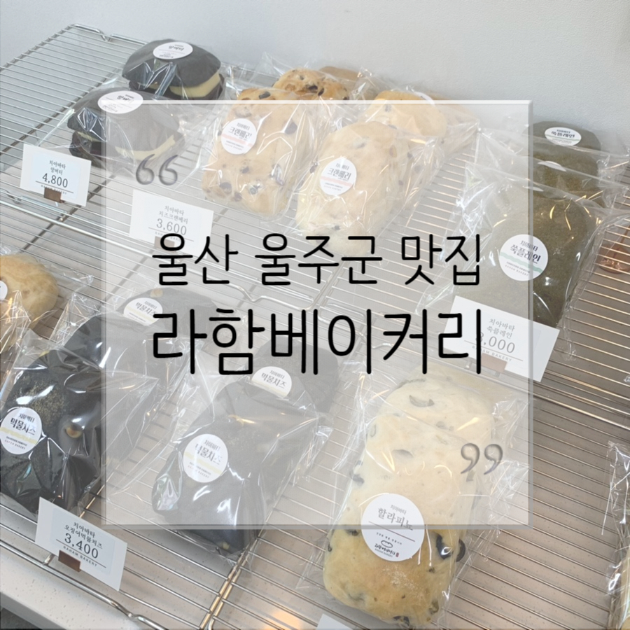 라함베이커리 이미지