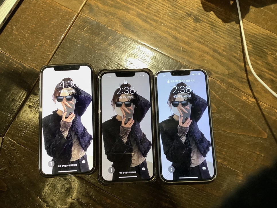 지윤육회연어 이미지