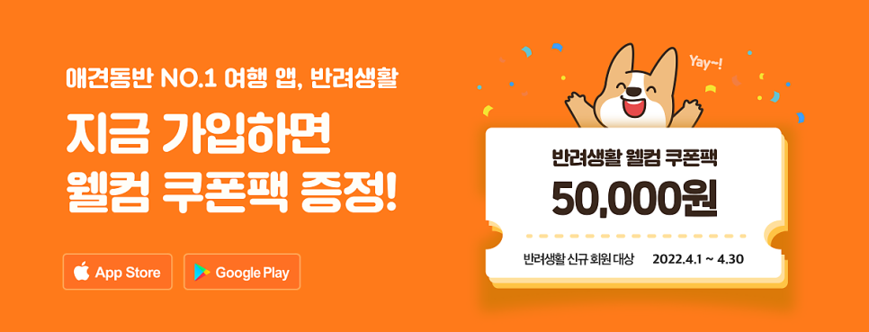 엘피라인 이미지