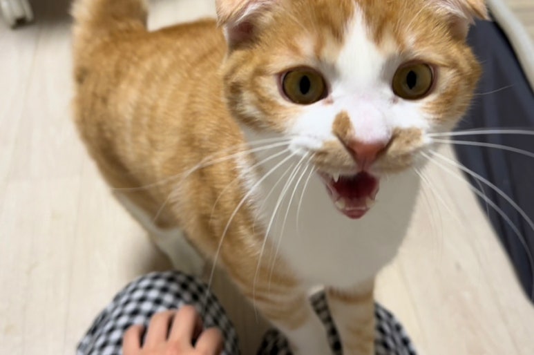 봄봄체형관리 이미지