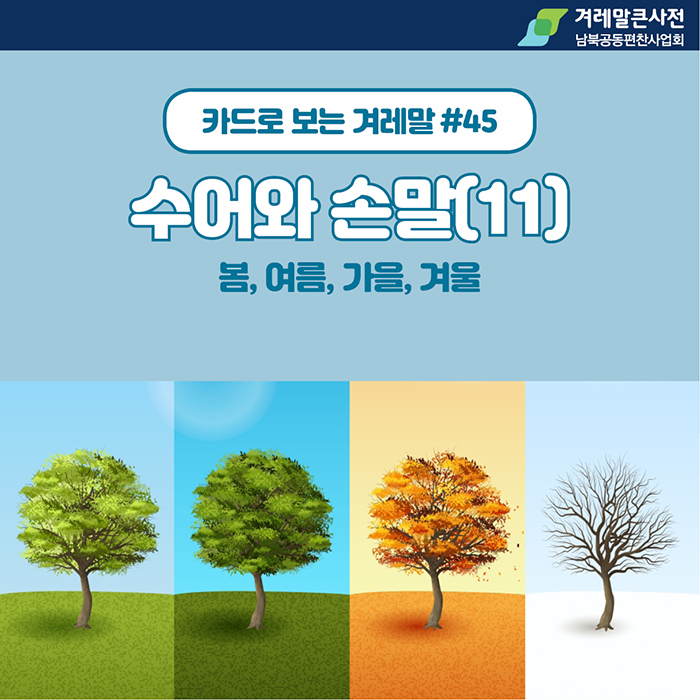 데프누리 이미지
