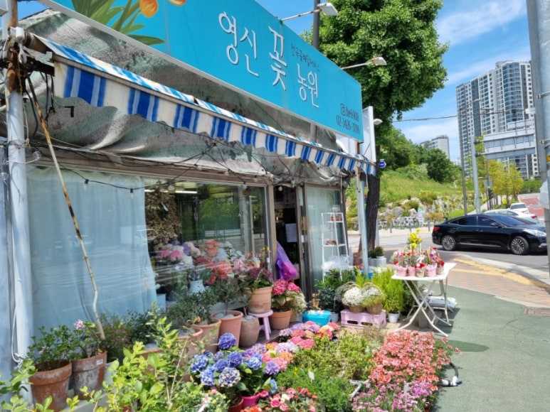 강동꽃농원 이미지
