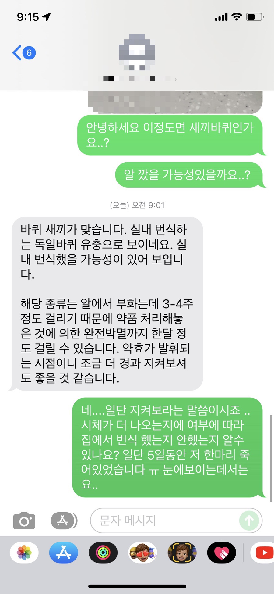 자바드림 이미지