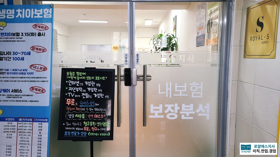 로얄에셋 이미지