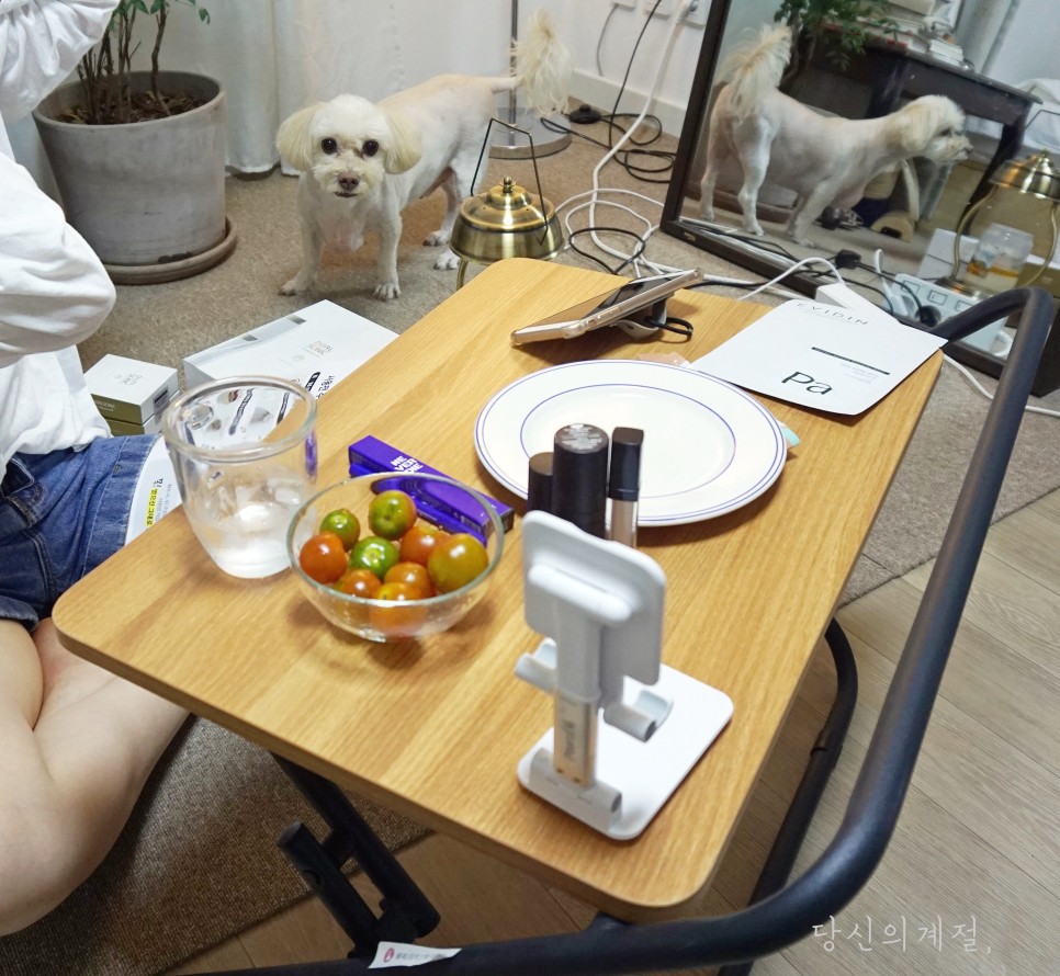 리빙코 이미지