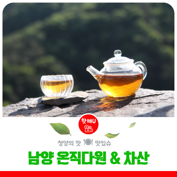 온직다원 이미지