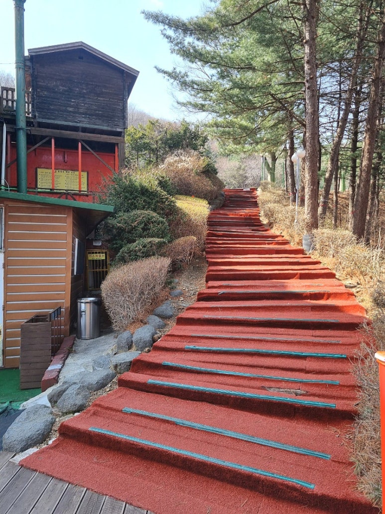 딱따구리펜션 이미지