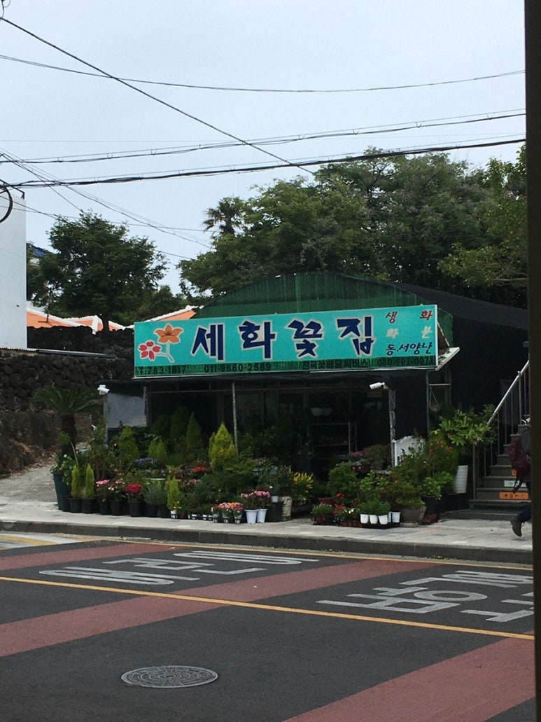 오고파미용실 이미지