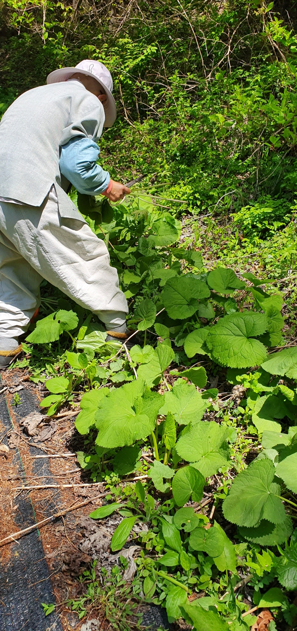 제천삼보수소충전소 이미지