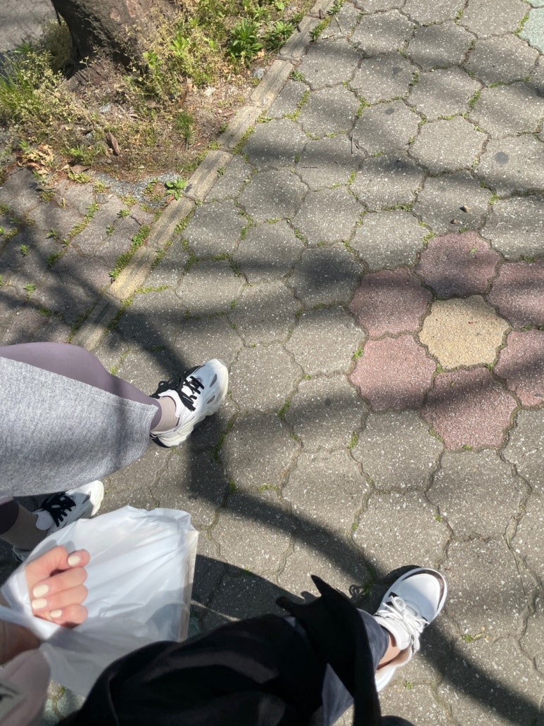 쌍용코다리 이미지