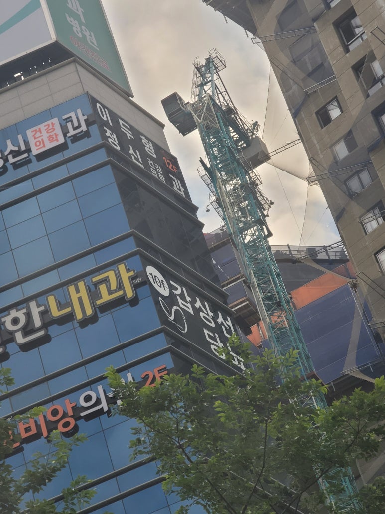 단디크레인 이미지