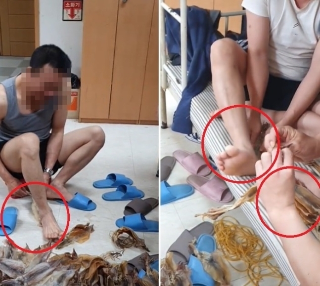 오징어아저씨 이미지