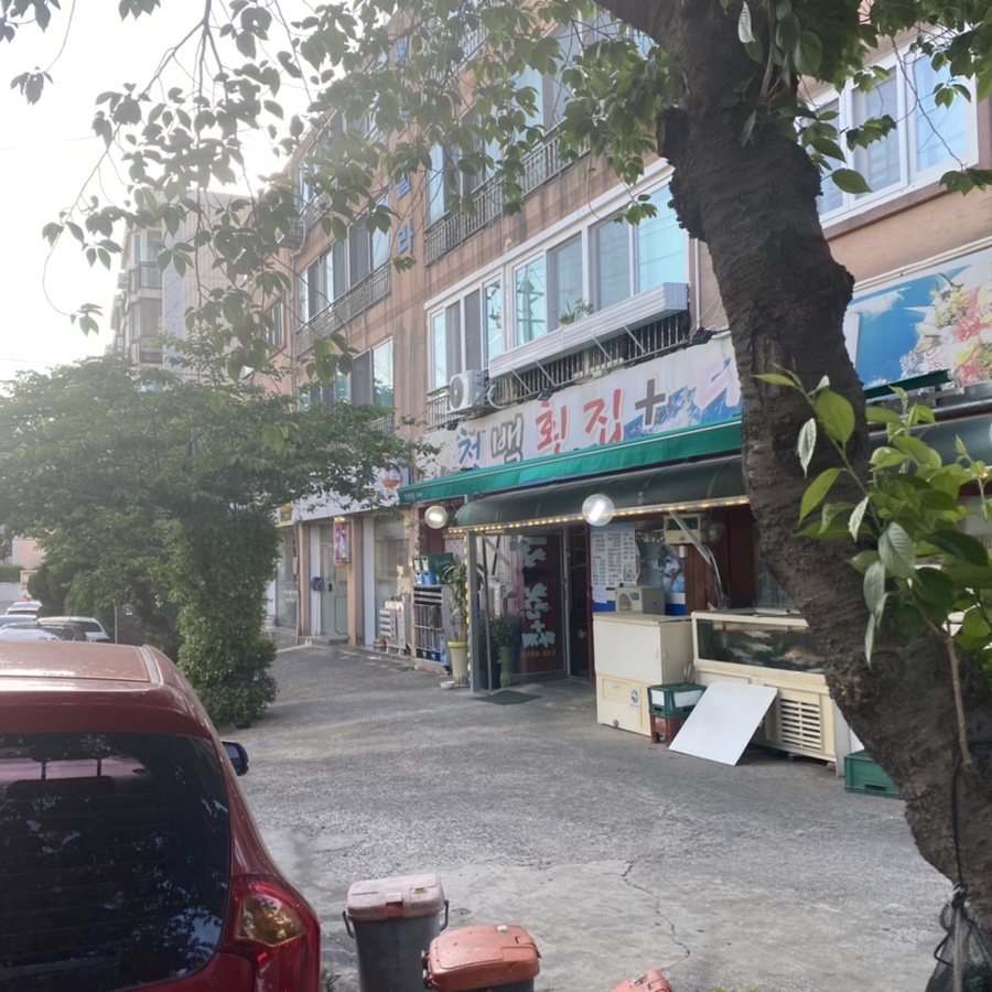 청백회다찌 이미지