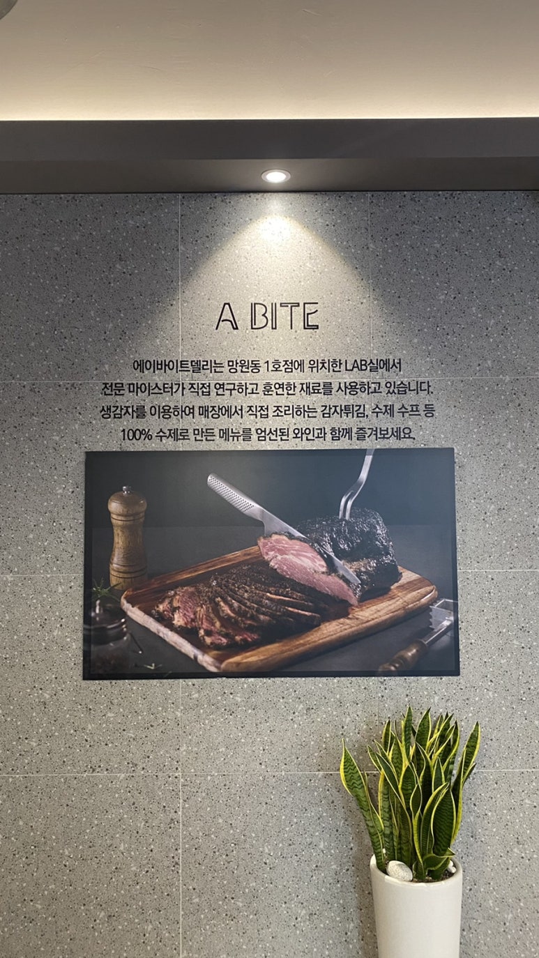 에이바이트델리망원 이미지