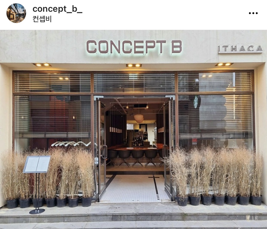컨셉비(Concept B) 이미지