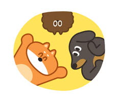 마리에프앤비 이미지