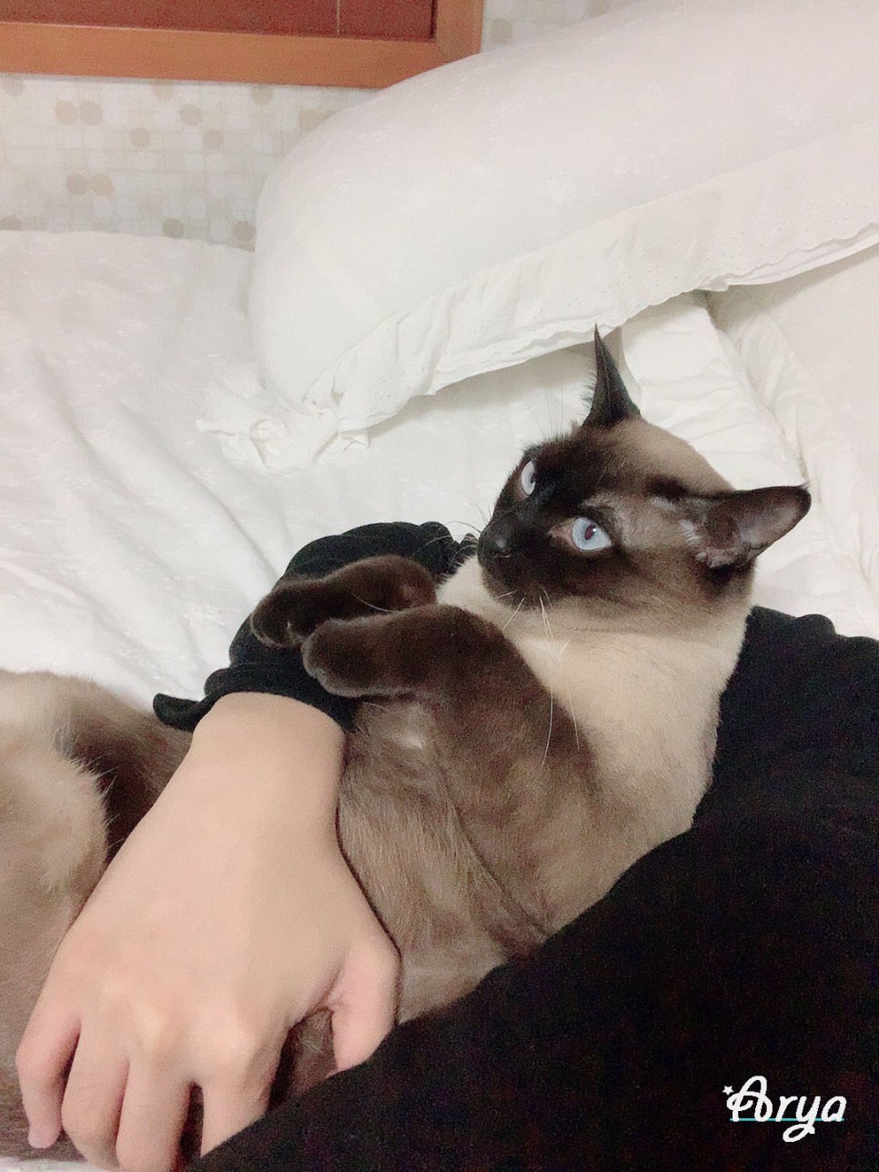 휘게문고 이미지