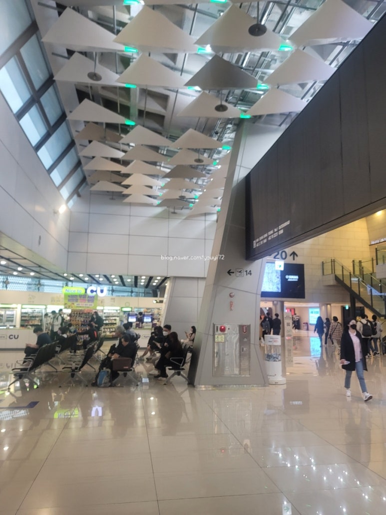 록시네일 이미지