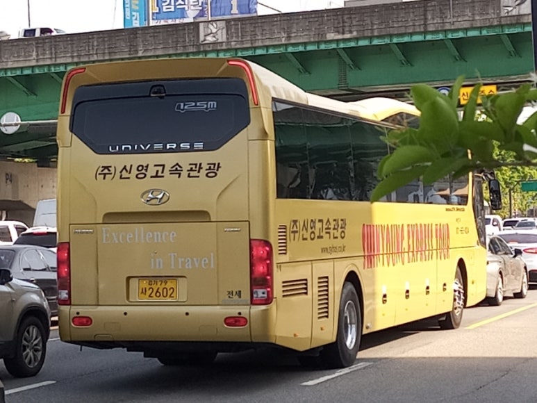 신영관광 이미지