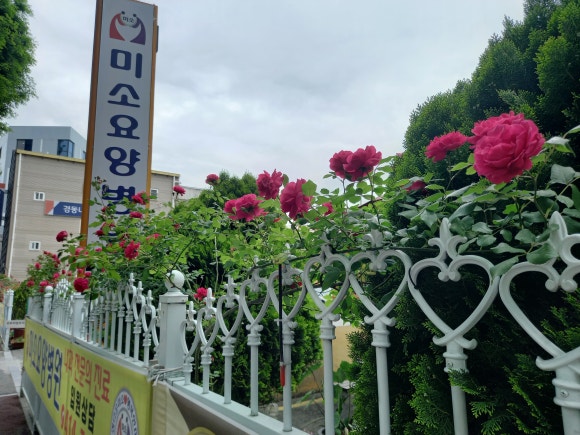 미소요양병원 이미지