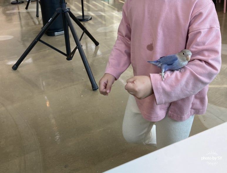 버드리김포 이미지