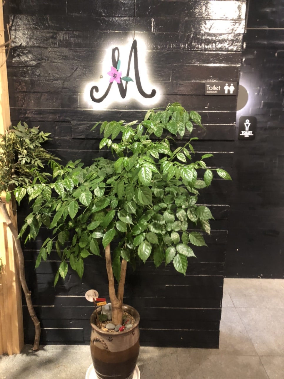 마시모레지나 이미지