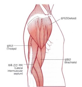 피티플렉스 이미지
