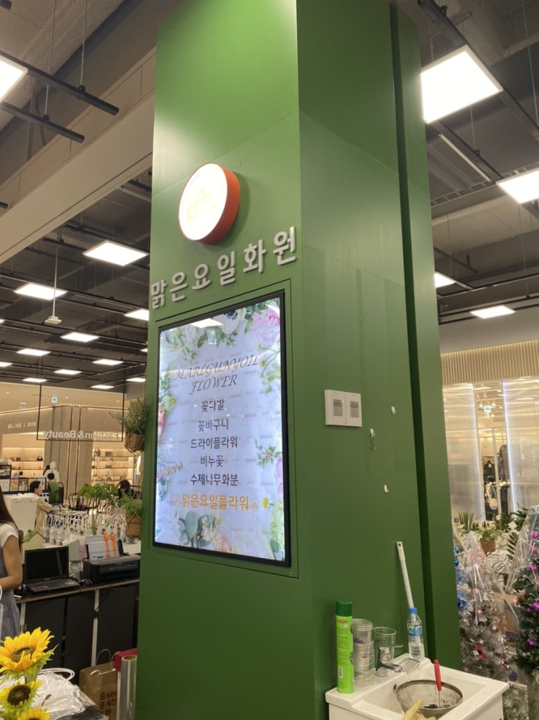 맑은요일 이미지