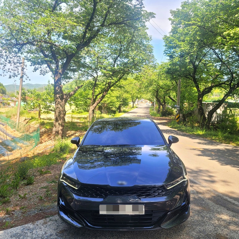 그린카다이로 이미지