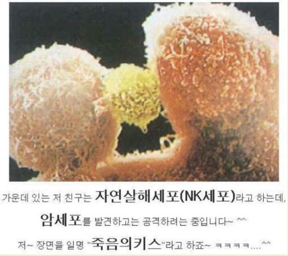 해동힐링안마원 이미지