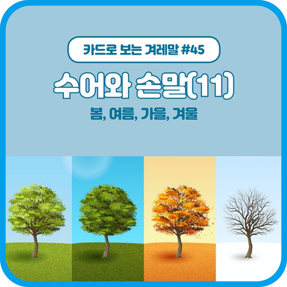데프누리 이미지