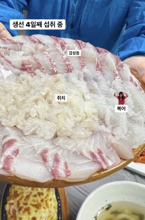 청춘어락 이미지