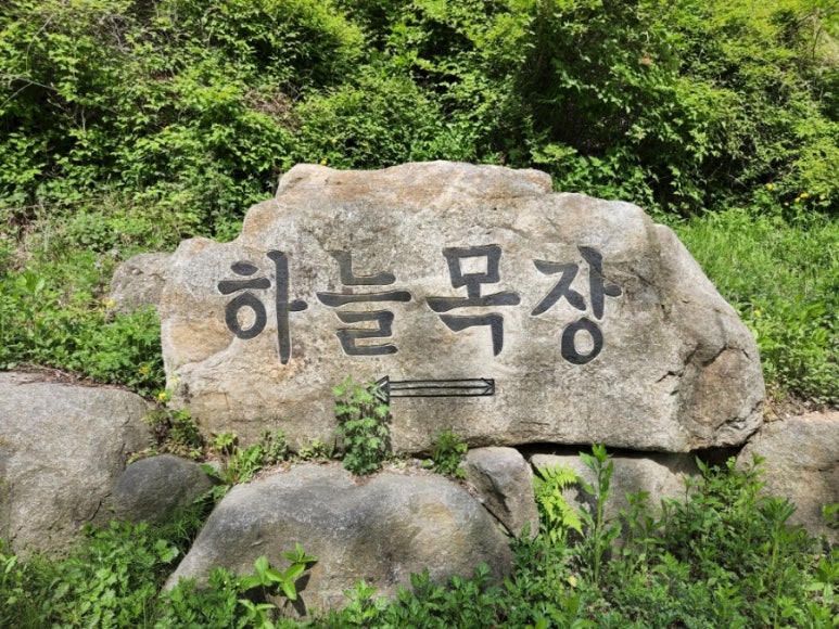 산양농장 이미지