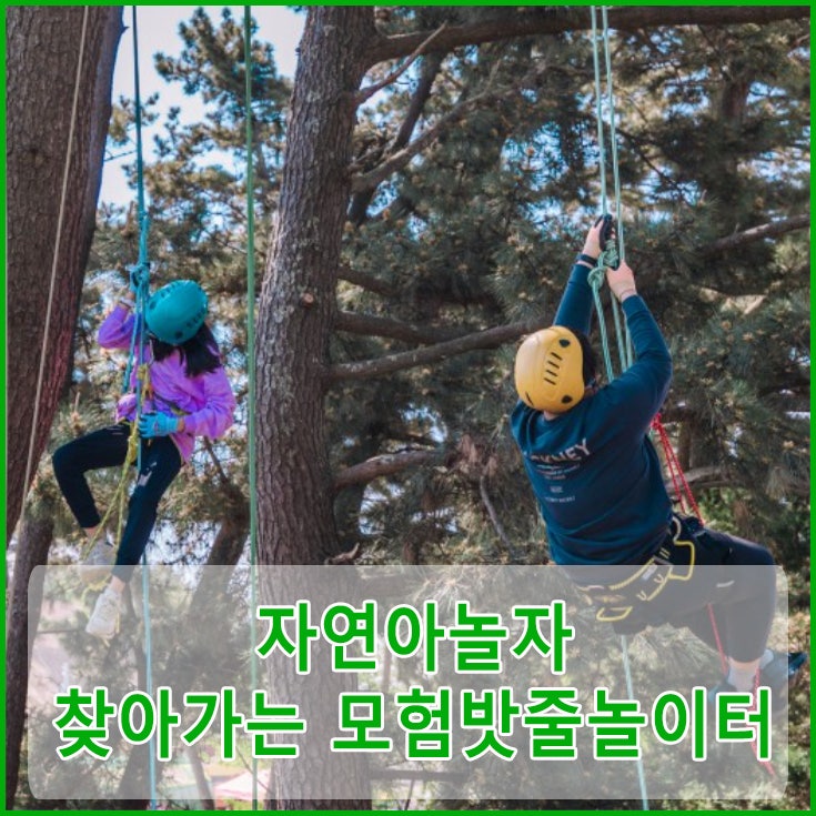 자놀자 이미지