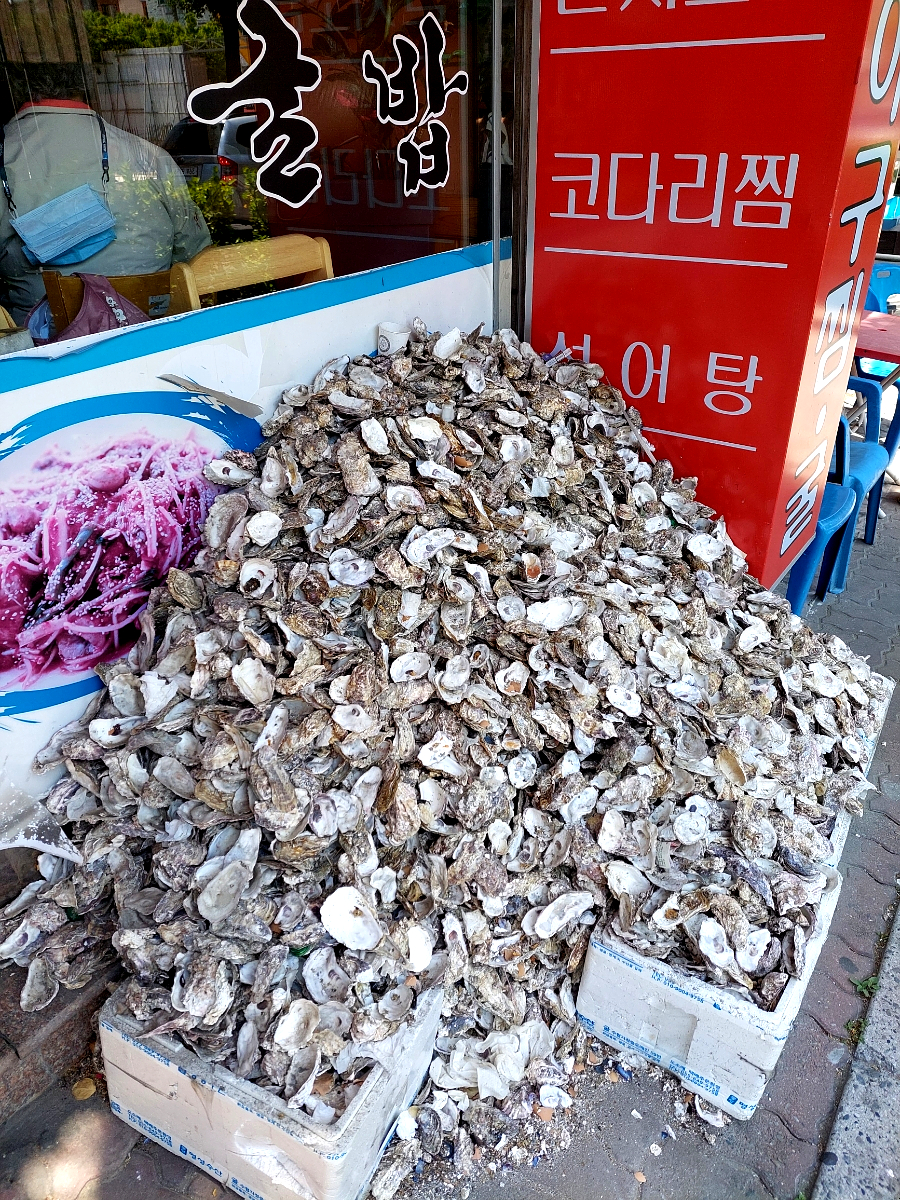 마산아구찜，굴 이미지