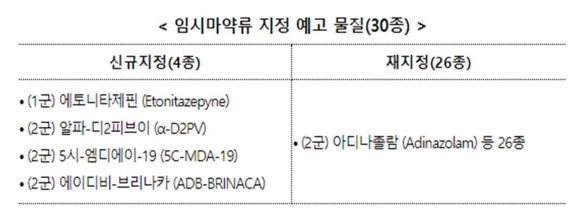 디니타 이미지